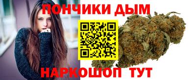 сатива Ставрополь