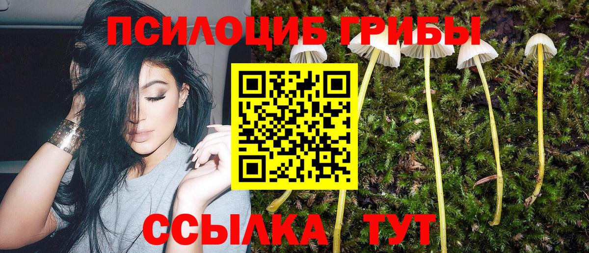 Галлюциногенные грибы Psilocybine cubensis Богородицк