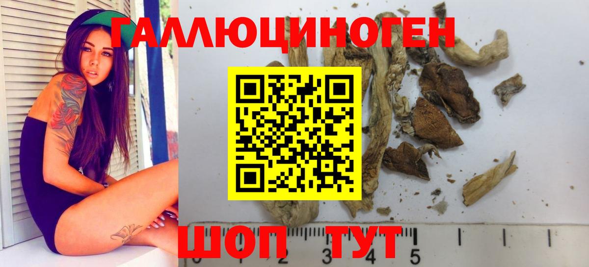 Псилоцибиновые грибы мицелий  Псилоцибиновые грибы Psilocybine cubensis  где продают наркотики  Вход с VPN  Богородицк 